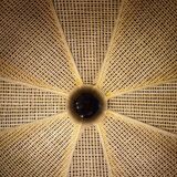 Cane suspension