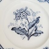 2 old Moss Rose J. Ridsway English porcelain plates