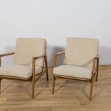 Mid-Century Model 300-139 Armchairs from Swarzędz Factory, 1960s, Set of 2