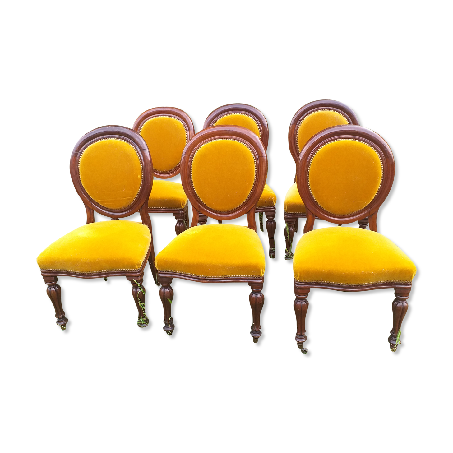 6 mahogany medaillon chairs from Louis Philippe 19th century