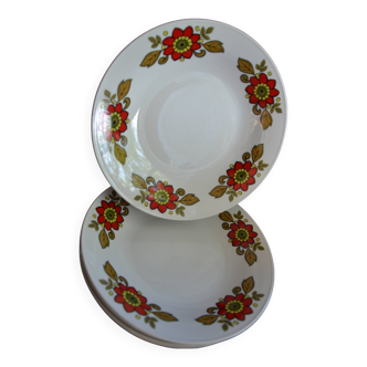 6 Bavaria W Germany floral deep plates