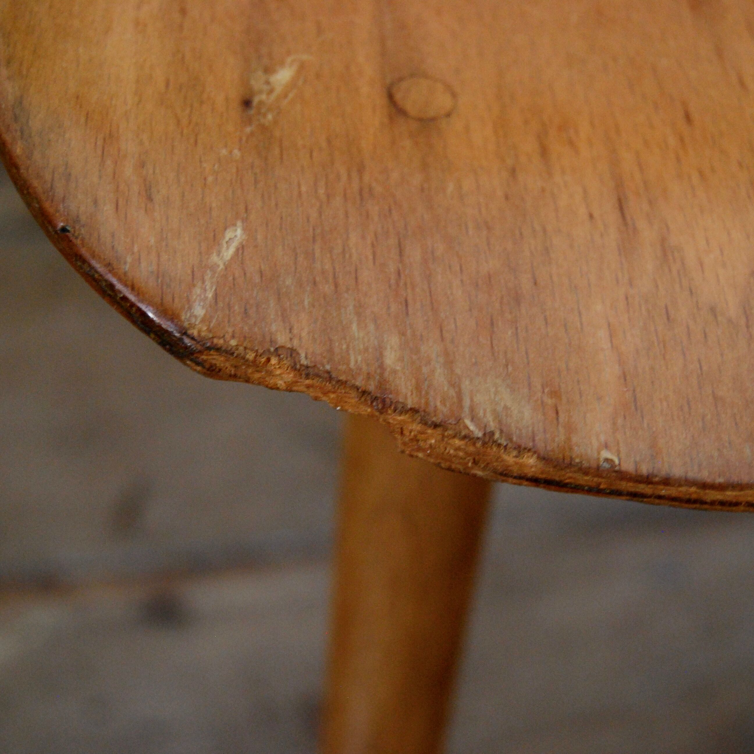 Chairs Baumann model Ant