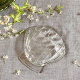 Shell cups
