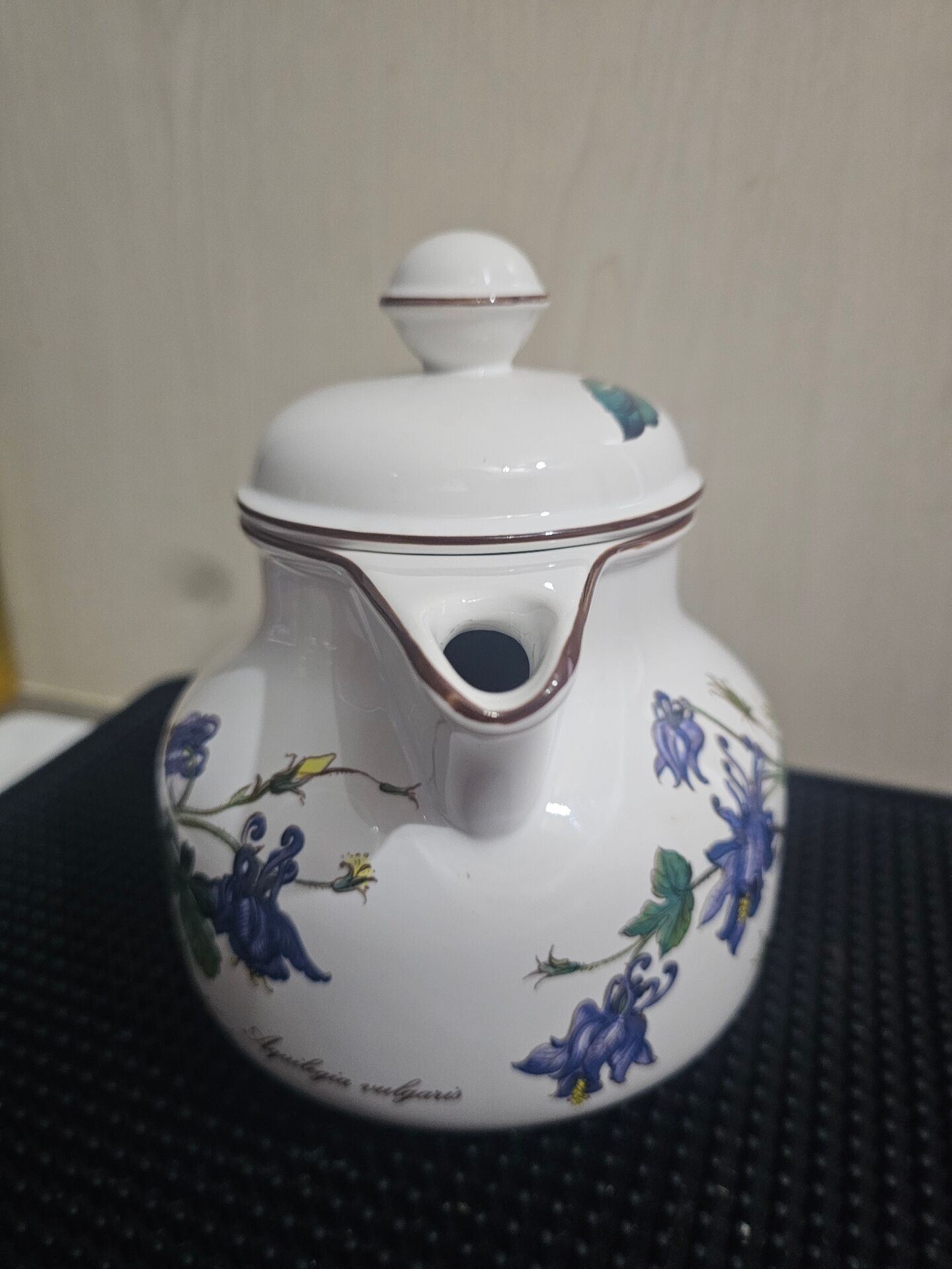 Vintage Teapot Villeroy & Boch – Iconic Collection "Botanica"