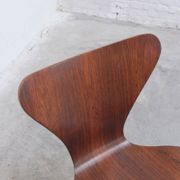 Pair of 'Series 7' chairs in rosewood by Arne Jacobsen for Fritz Hansen, 1955
