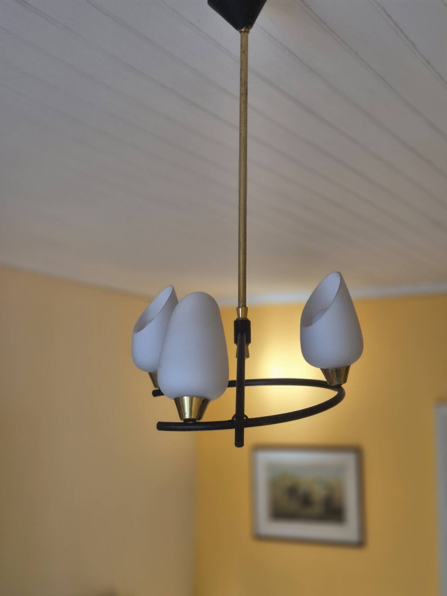 Arlus Suspension, French Vintage 1950s