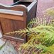 Antique oak chest