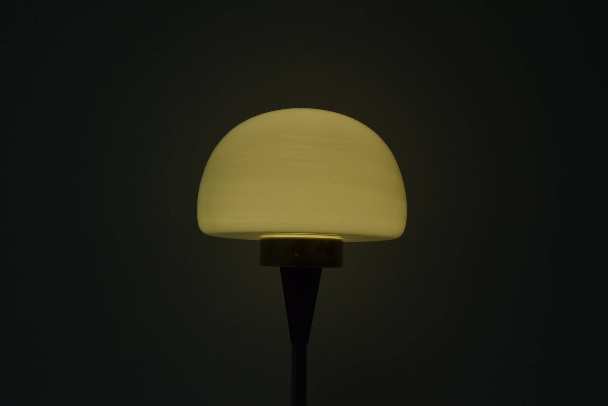 Vintage floor lamp designed by jaroslav bejvl for lidokov,1960's.
