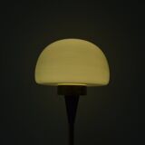 Vintage floor lamp designed by jaroslav bejvl for lidokov,1960's.