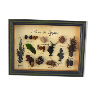 Vintage painting of dried flowers
