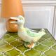Saucière barbotine canard
