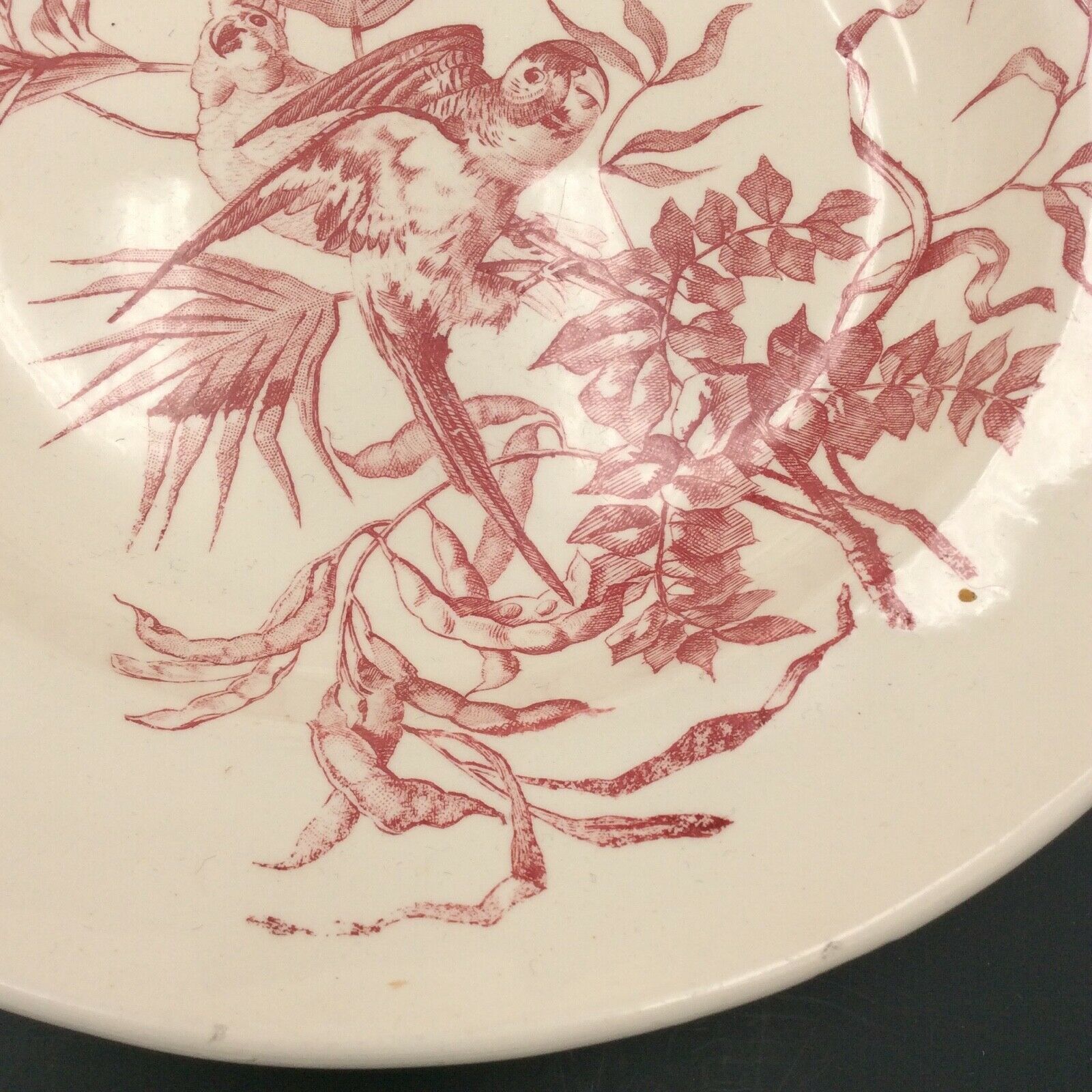 2 ancient hollow plates longchamp congo ostrich parrots