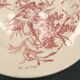 2 ancient hollow plates longchamp congo ostrich parrots