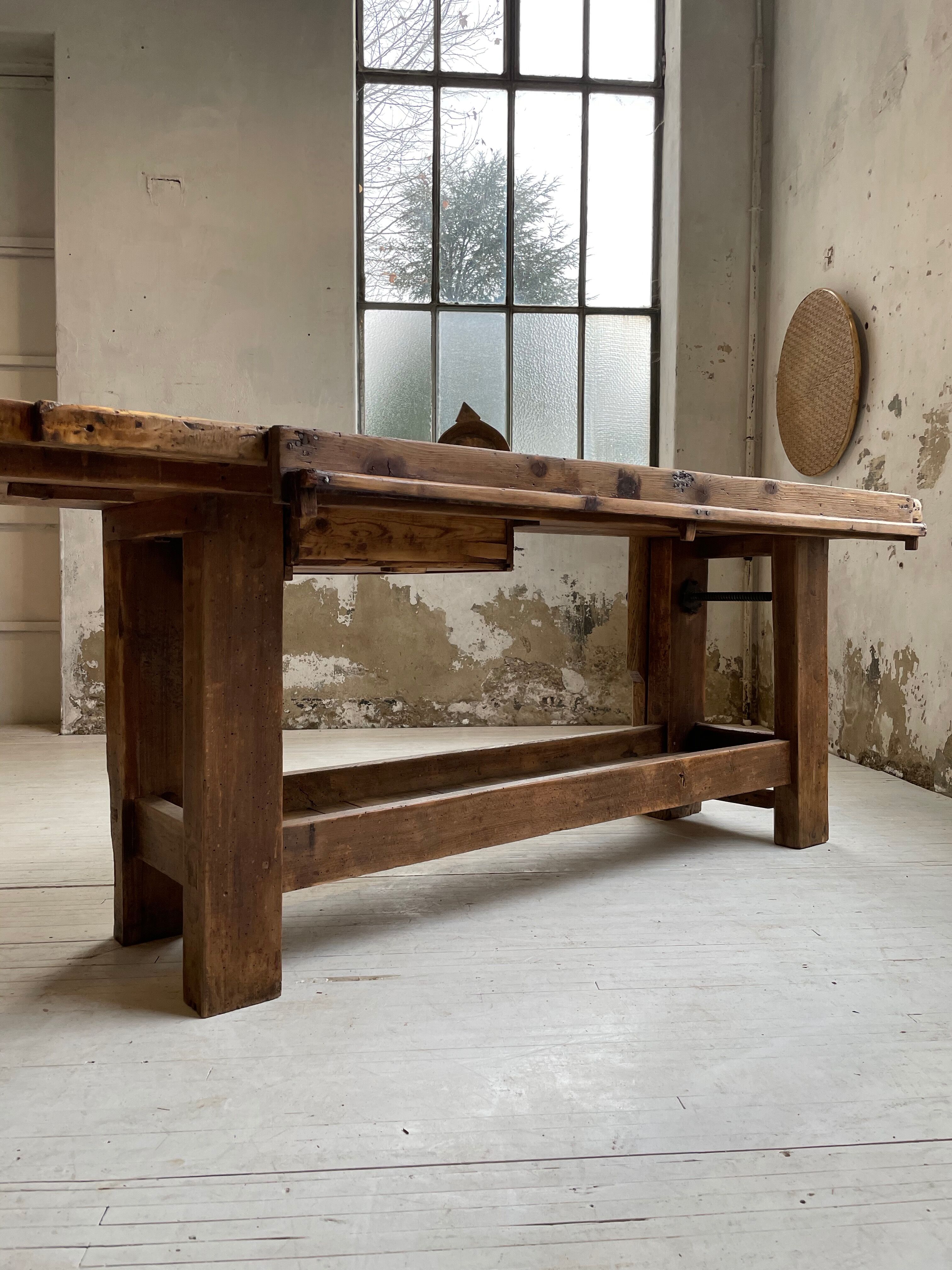 Established old oak XL