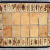 Herbarium Coffee Table by Roger Capron, Vallauris, 1970s