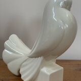 Pigeon Adnet