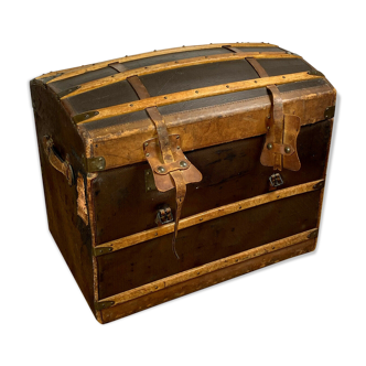 Bulging trunk covered in leather and wooden slats