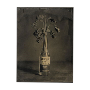 Photographie ambrotype printemps