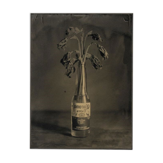 Photography Ambrotype Spring Corona Geng Valerius