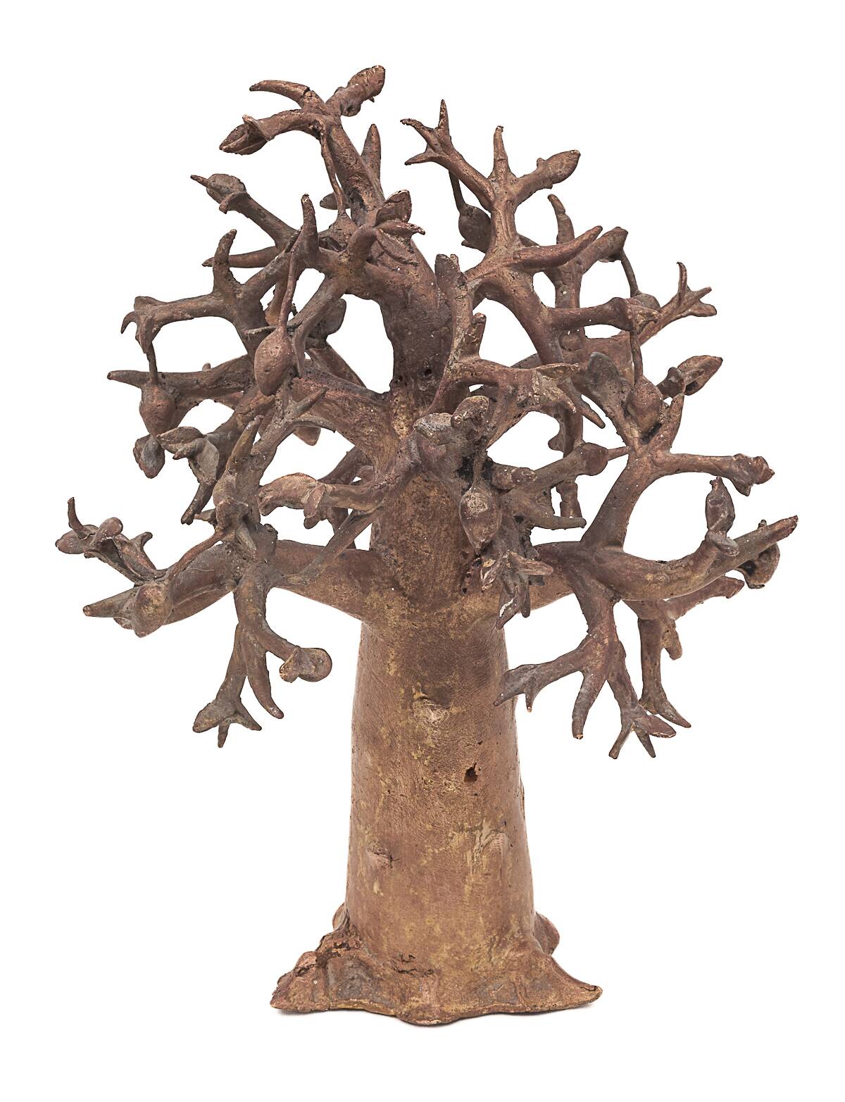 Bronze baobab