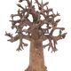 Bronze baobab