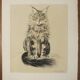 Basile Titoff - Lithograph signed - Orion Chat