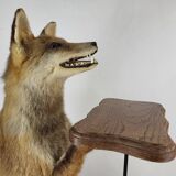 Stuffed Taxidermy Fox Stuffed