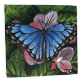 Tableau papillon
