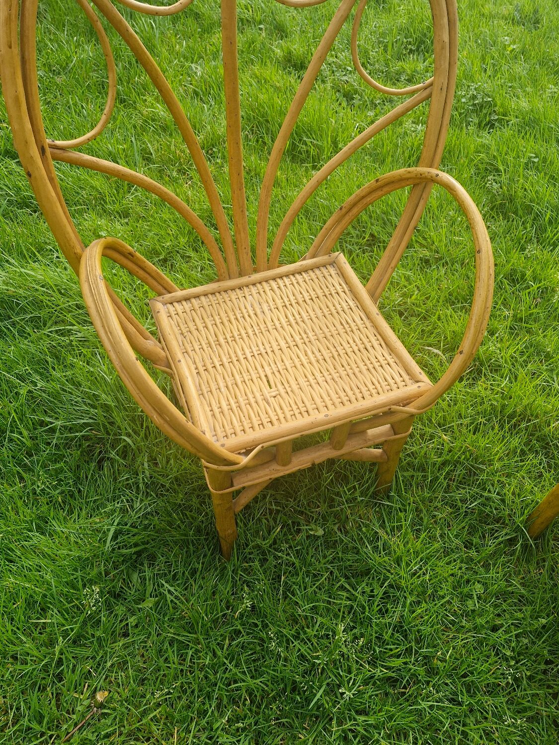 Paire de fauteuils en rotin