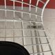Bertoia Harry chair
