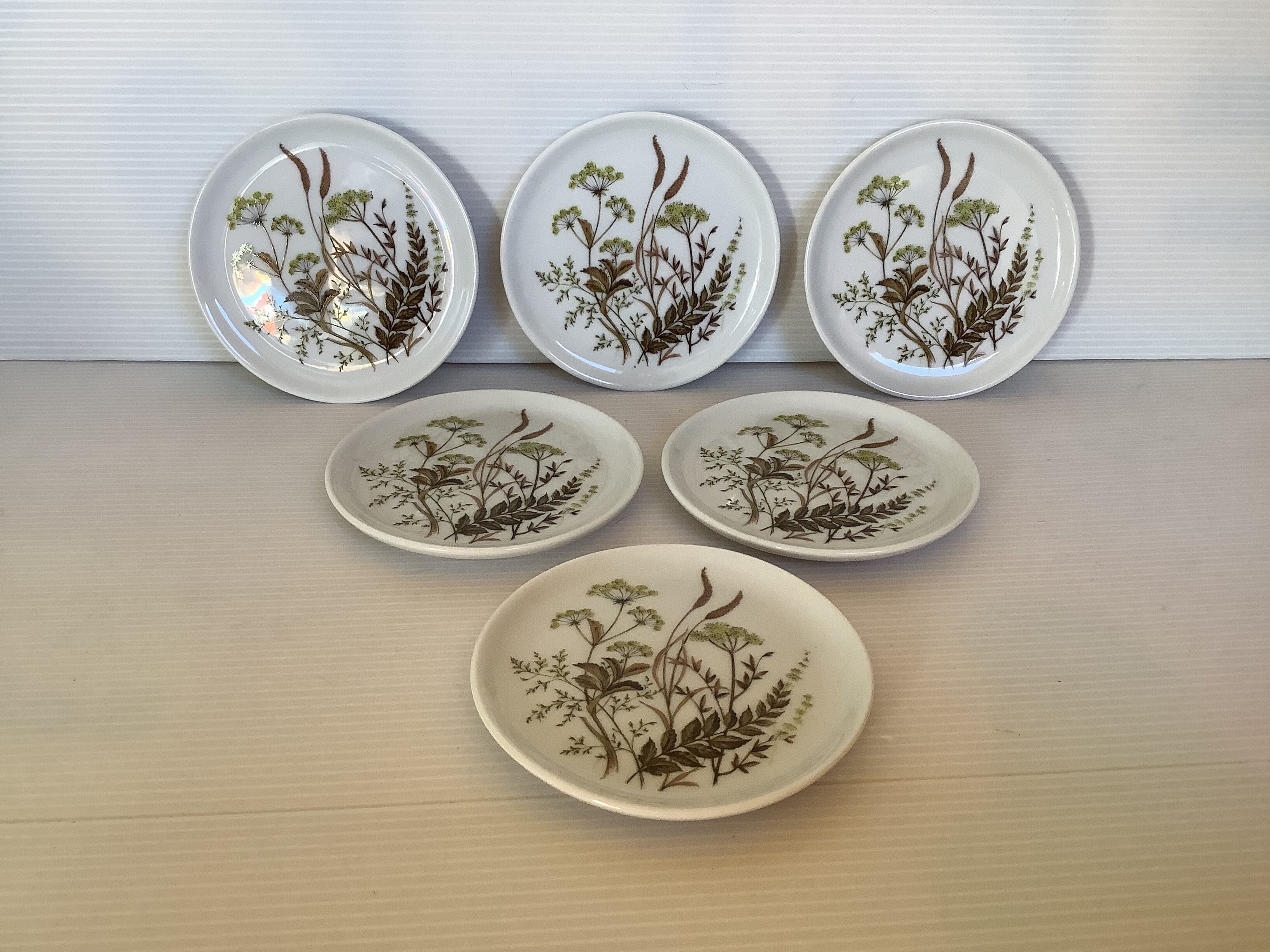 Bavarian Germany herbarium cups