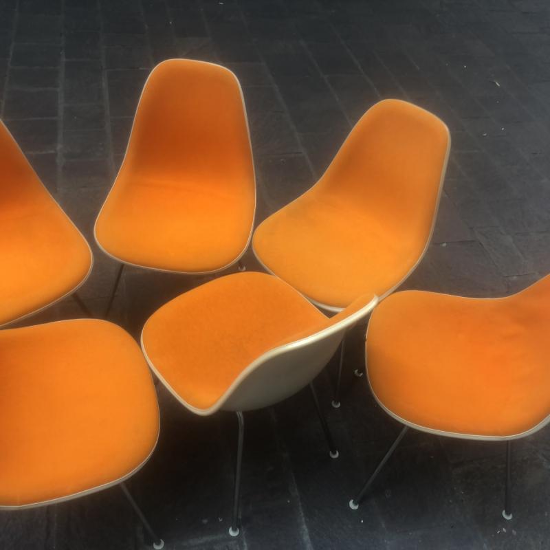 Suite of 6 chairs Dsx Charles and Ray Eames edition Herman Miller 1960