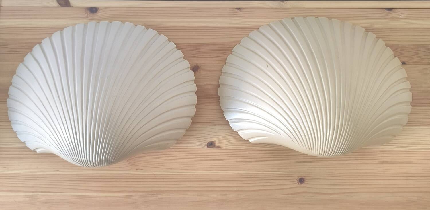Pair of shell wall lights by Michèle Mahé, 1960s