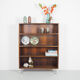 Bookcase with glass 1960
