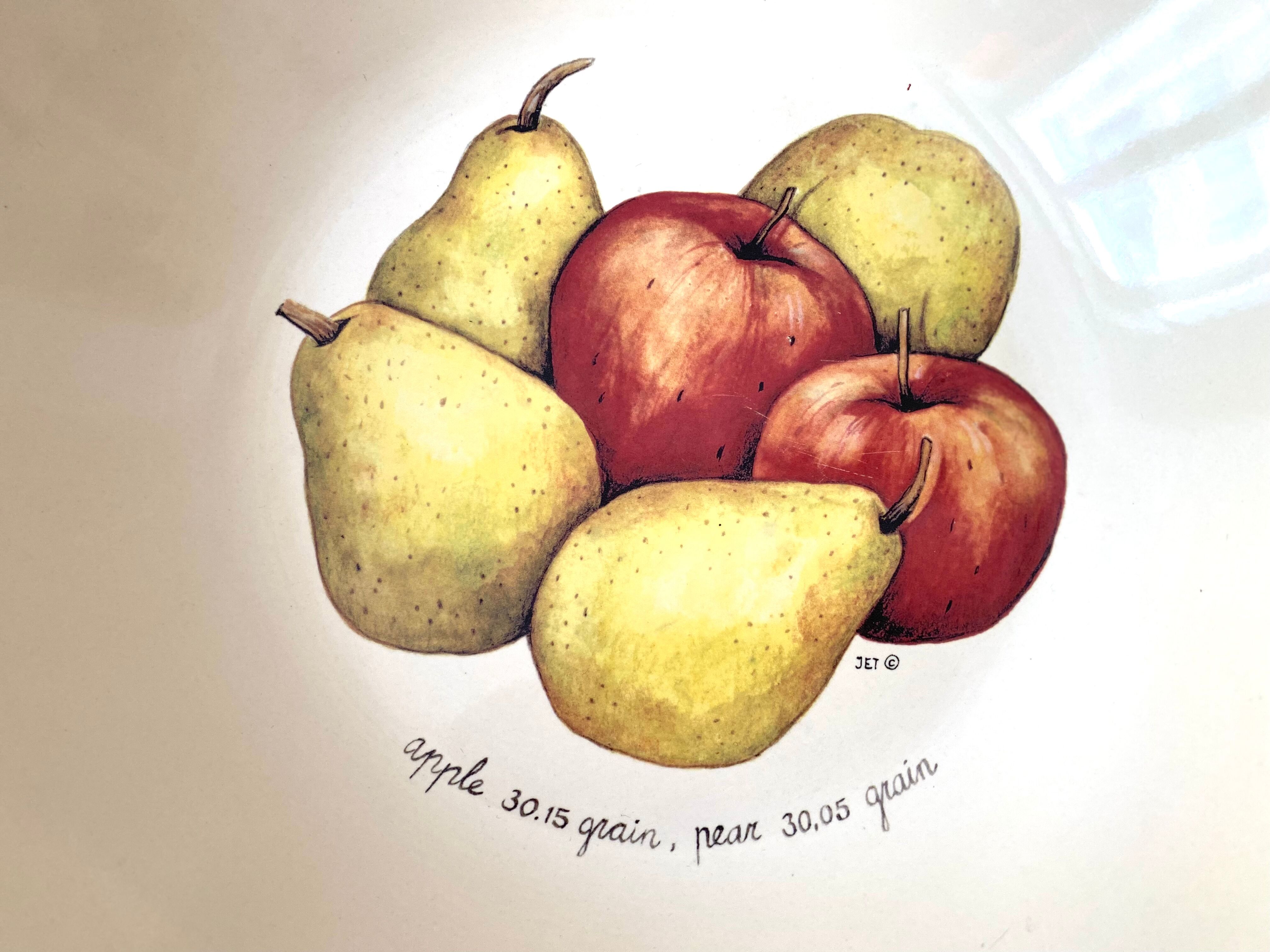 Ceramic salad bowl apples and pears Ter Steege Rÿssen vintage