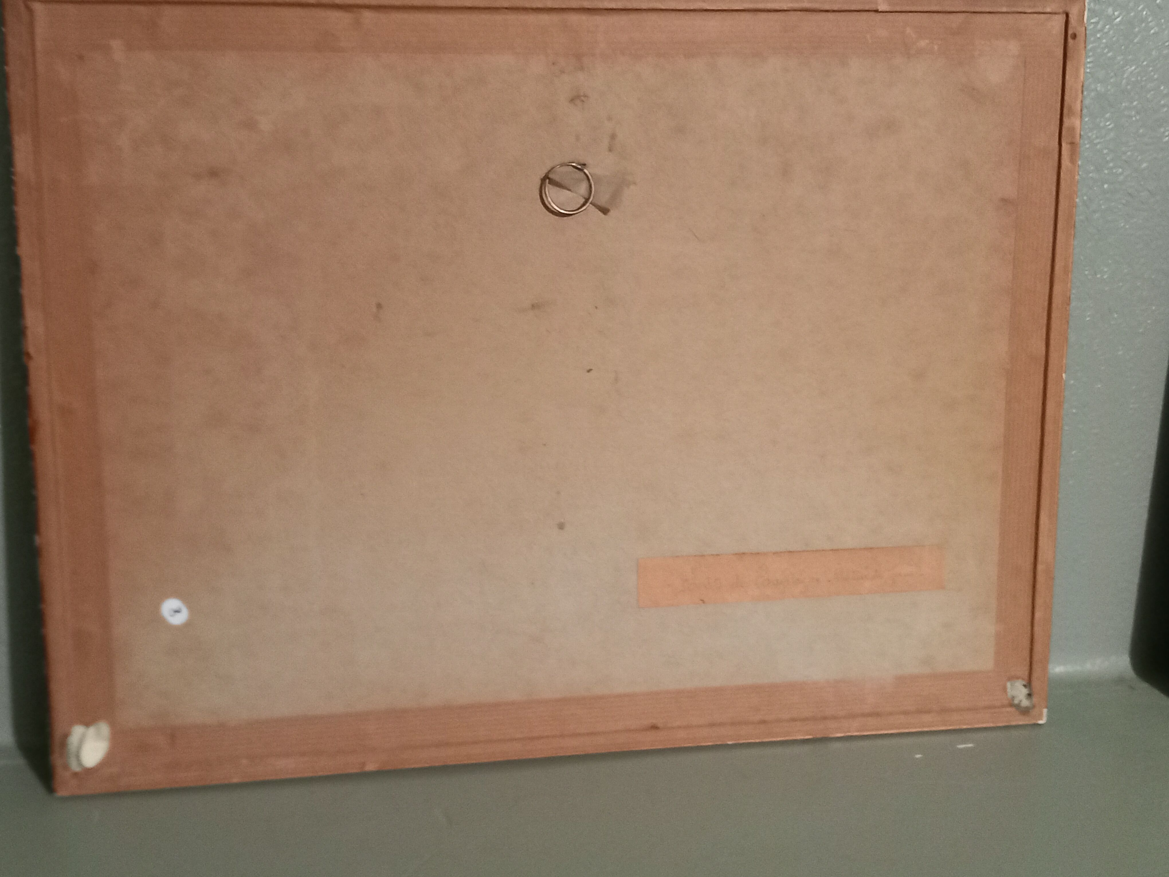 Old table-forest landscape