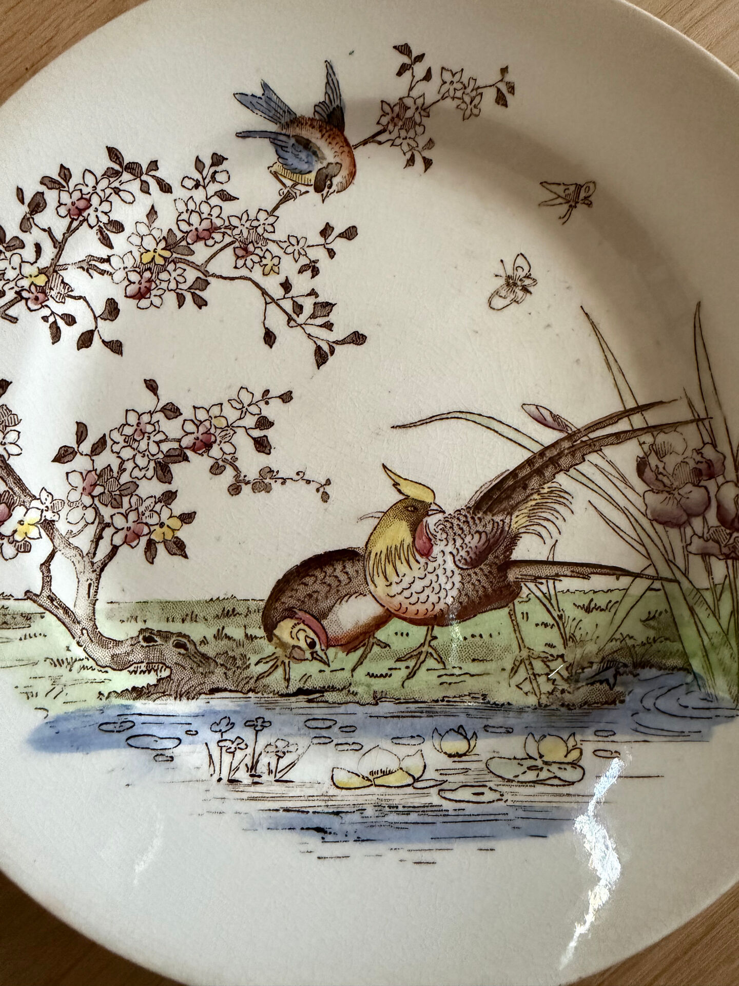 Polychrome ironstone dessert plates from Digoin and Sarreguemines.