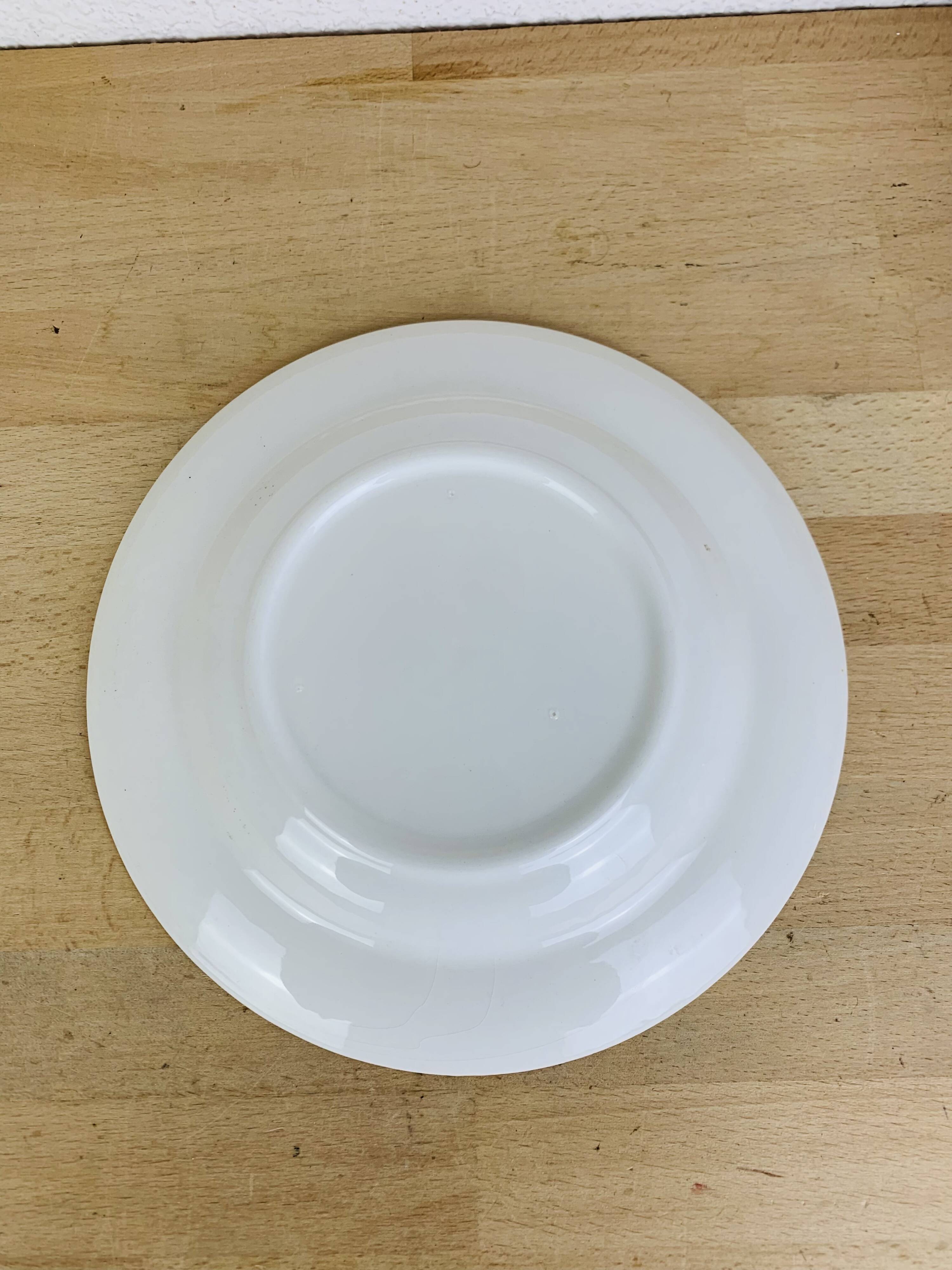 6 assiettes plates terre de fer bleues vintage