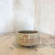 Cut in varnished sandstone