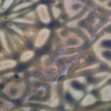 Vintage enamelled copper dish