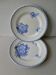 Set of 2 plates in earthenware, 1900