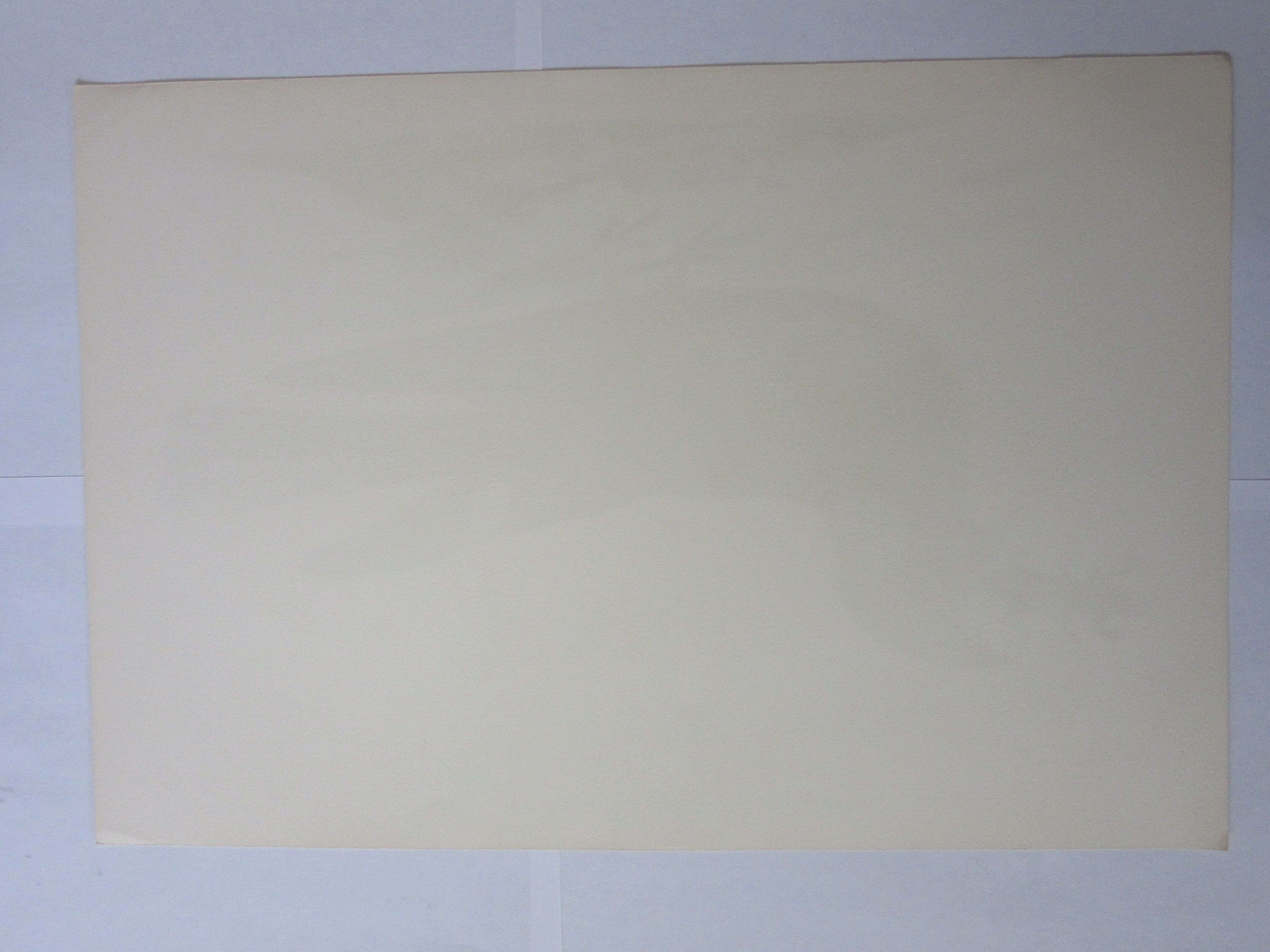 Engraving bird, head-goat of carolina, repro Catesby/Seligmann