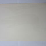 Engraving bird, head-goat of carolina, repro Catesby/Seligmann