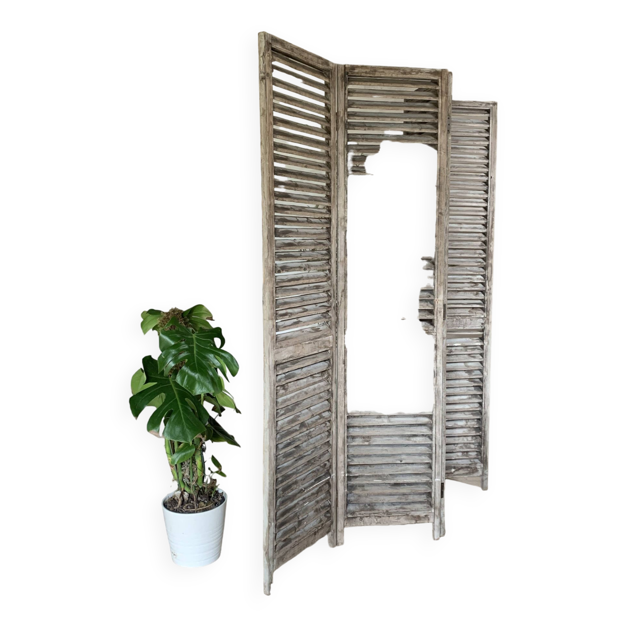 Vintage louvered slat screen