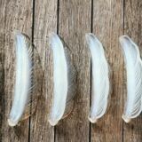 Opalescent glass leaf knife holder