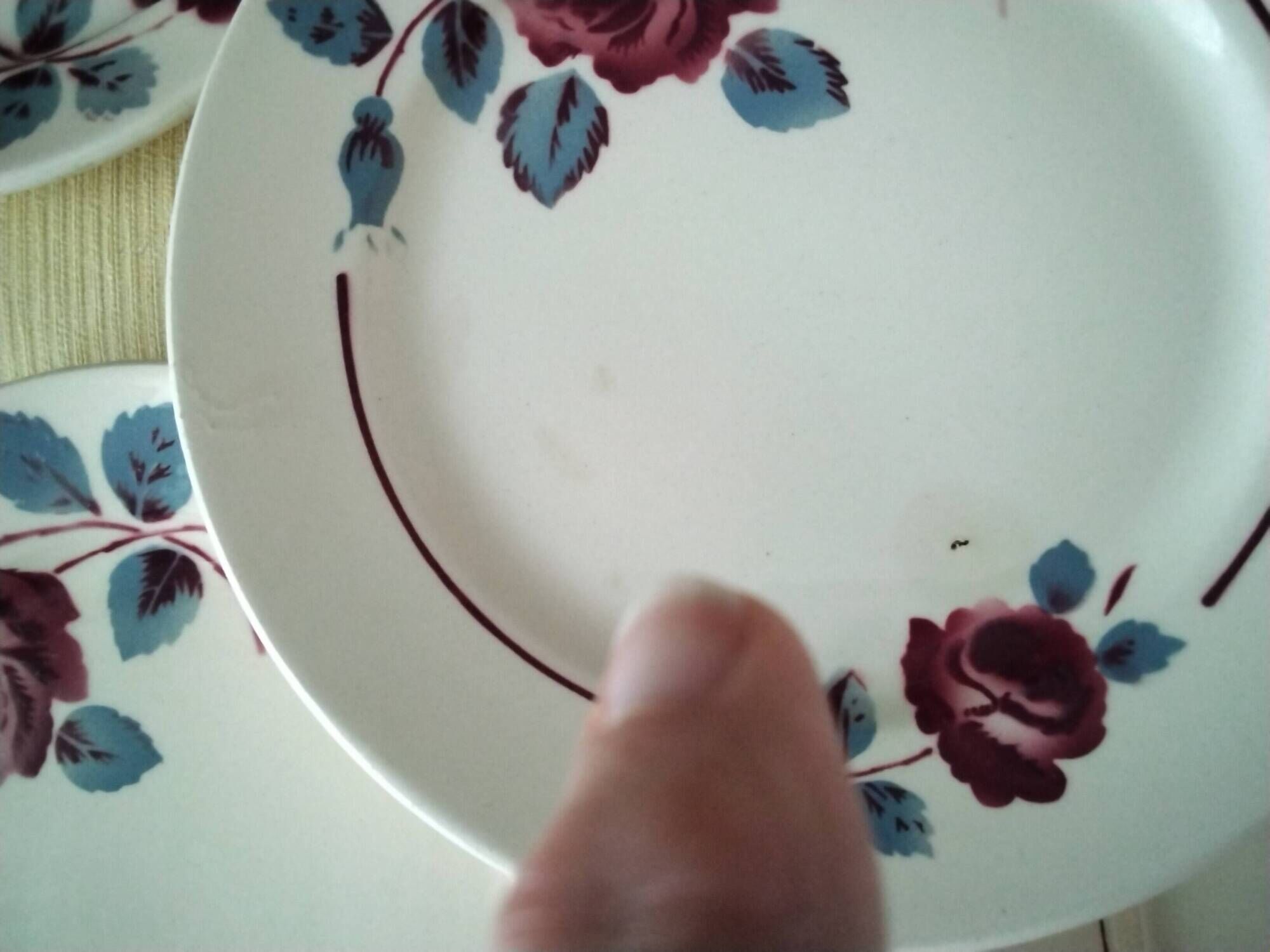 5 dessert plates half porcelain from Badonviller