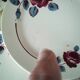 5 dessert plates half porcelain from Badonviller