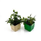 Pair of Modular Indoor Planters 'Smeralda' by Programma Vastill, 1970s