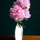 Porcelain Virebent Vase