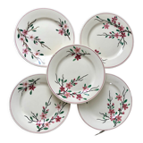 5 flat plates Digoin Sarreguemines model Aigues-Vives hand painted years 30-40